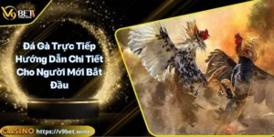 Đá gà trực tiếp