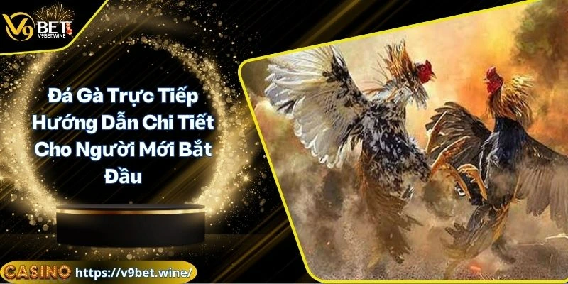 Đá gà trực tiếp